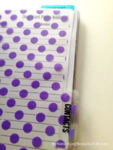 2017 Happy Planner Mini Set-up