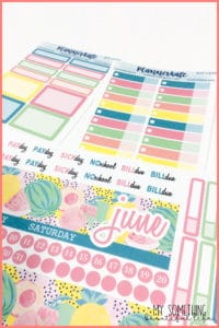 June 2019 Plan With Me in my Erin Condren Life Planner using a monthly sticker kit from Planner Kate! #plannerstickers #planwithme #erincondren #ecsquad #eclp