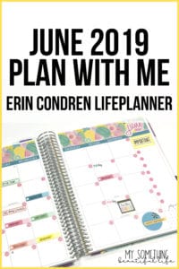 June 2019 Plan With Me in my Erin Condren Life Planner using a monthly sticker kit from Planner Kate! #plannerstickers #planwithme #erincondren #ecsquad #eclp