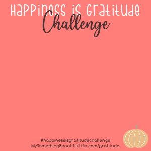 November 2020 Gratitude Challenge #gratitude #thankful #instagramchallenge