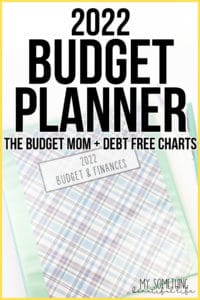 2022 budget planner with binder in the background